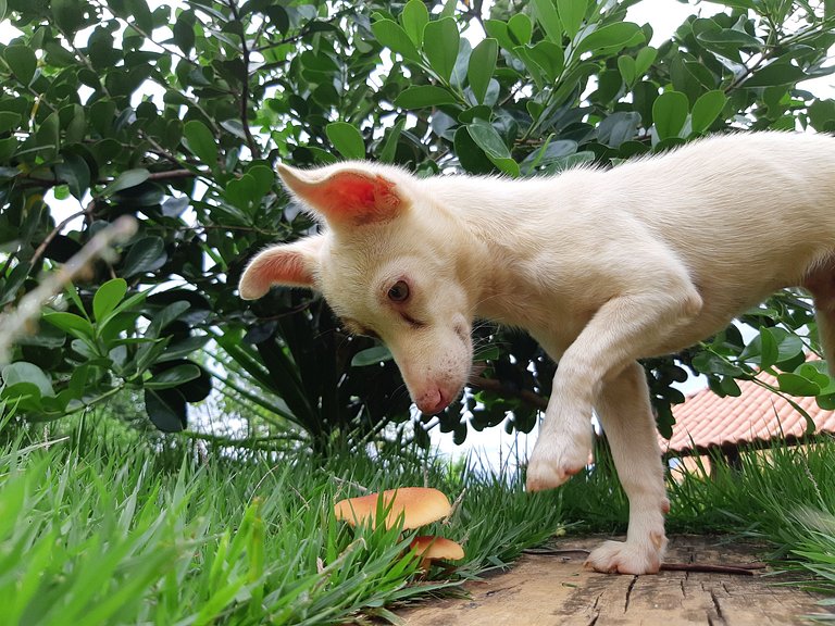 Suíte com terraço e vista pra serra